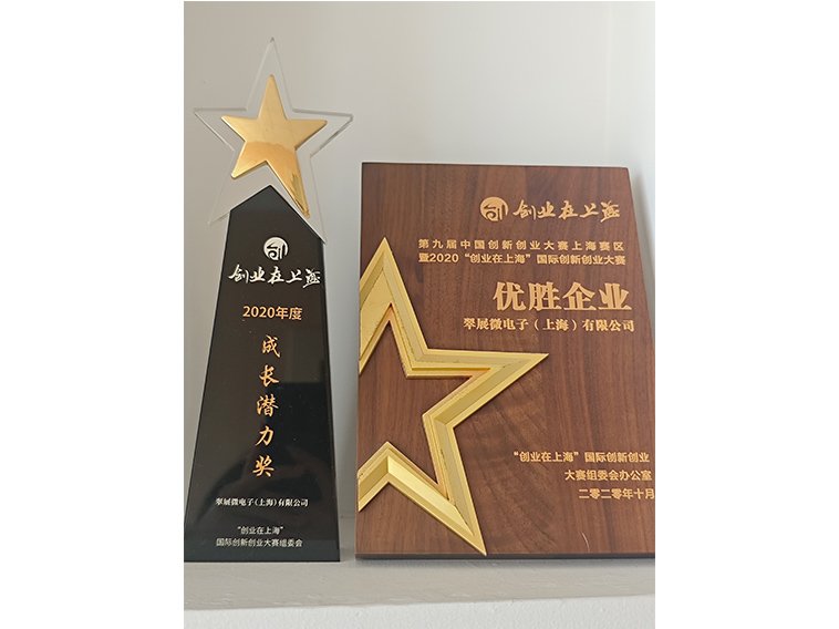 创业在上海2020年度成长潜力奖